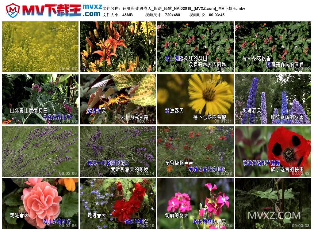 孙丽英-走进春天_国语_民歌_NAI02018